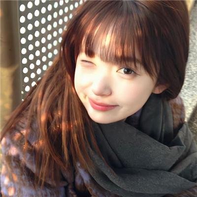 科搜研之女第24季